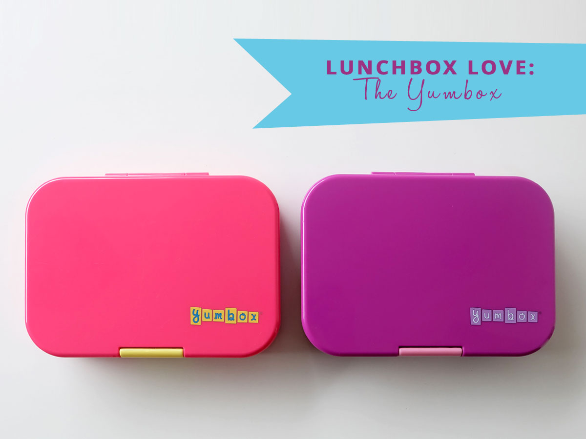 Yumbox Love: The Yumbox Panino